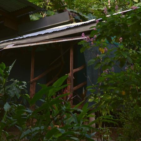 Corcovado Guide House 호텔 Barrigones 외부 사진