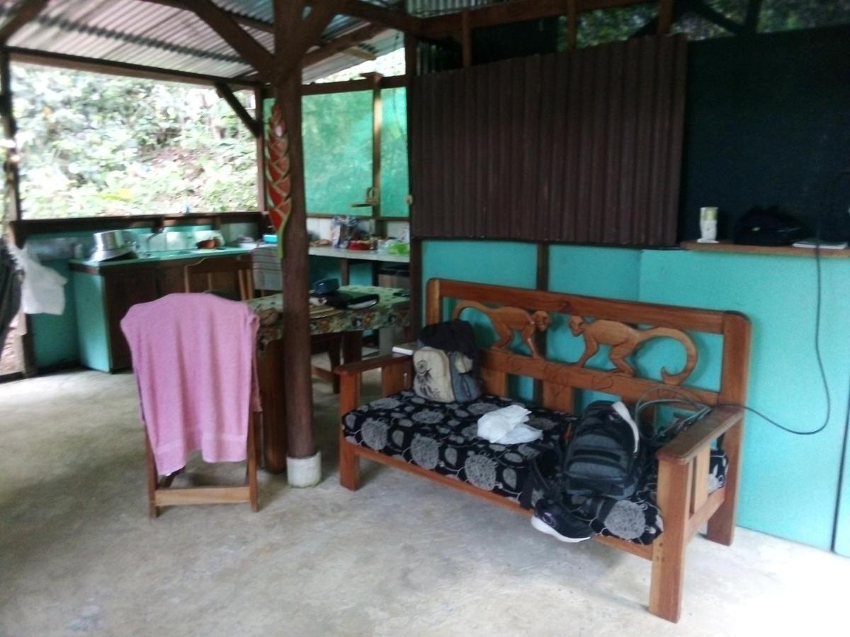 Corcovado Guide House 호텔 Barrigones 외부 사진