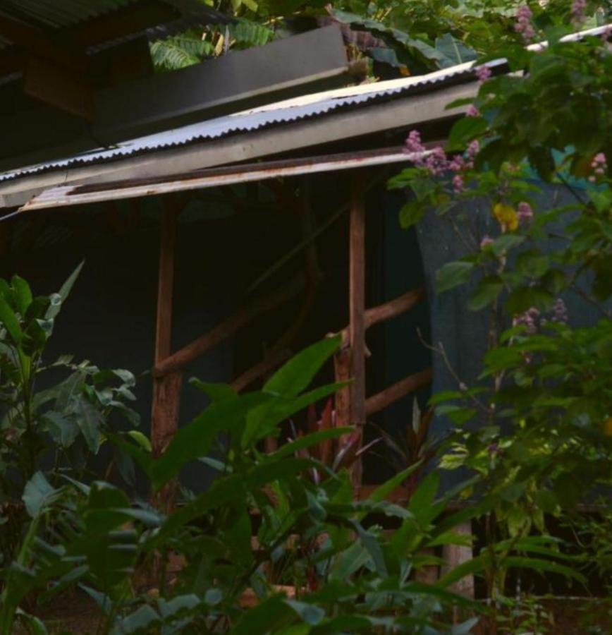 Corcovado Guide House 호텔 Barrigones 외부 사진